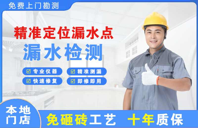 大田精准测漏点